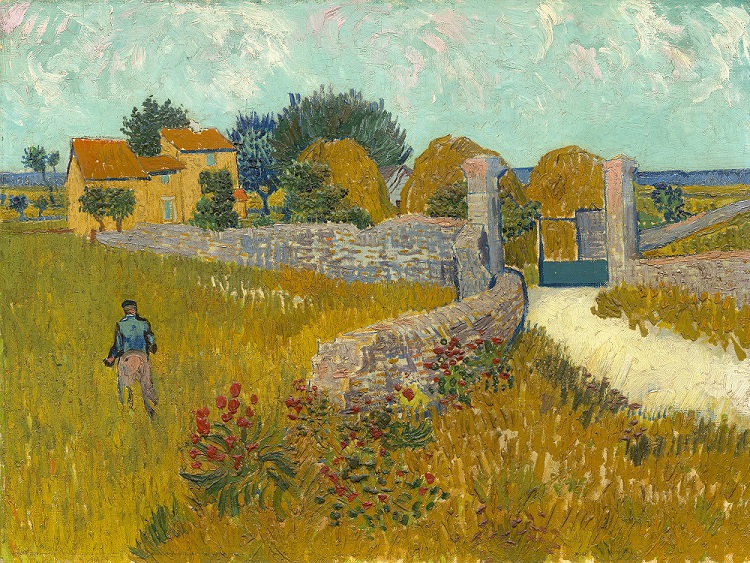 Vincent van Gogh in de Provence